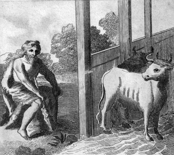 ,The Stables of Augeas.