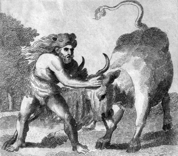 ,The Cretan Bull.