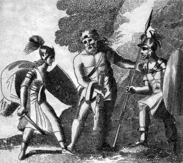 ,The Amazon Hippolite.