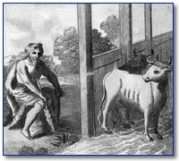 The Stables of Augeas.